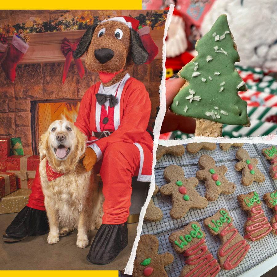 Santa Paws