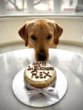 Small Birthday Cake