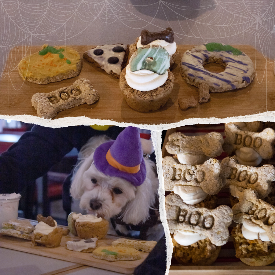 Howl'oween Tea Party