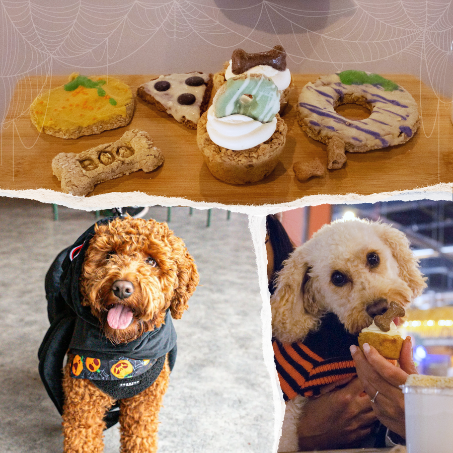 Howl'oween Tea Party